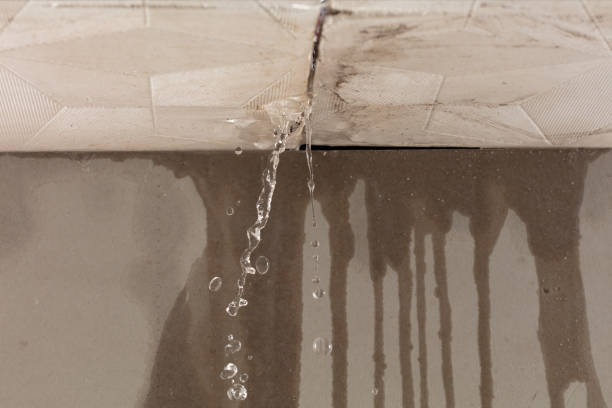 Professional Sewage Cleanup technician working in Perrin, TX